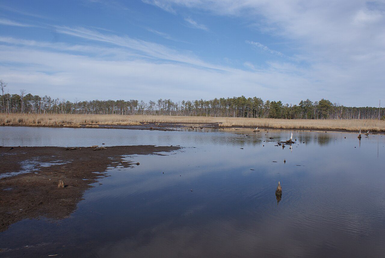 Marsh and open water at Blackwater National Wildlife Refuge, Dorchester County, Maryland