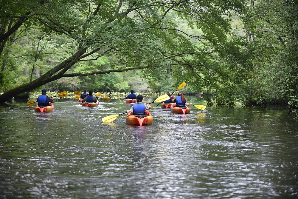 Kayakers in life vests paddling under overhanging trees on the Pocomoke River at Pocomoke River State Park, Maryland